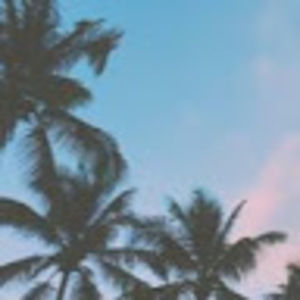 Meet your Posher, Jazmin